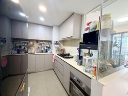 Riversails (D19), Condominium #542030261
